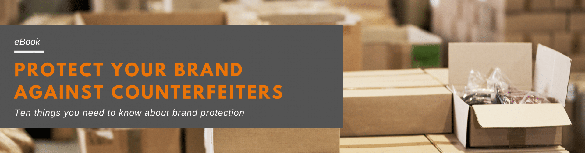 10 Things you need to know about brand protection Authentication